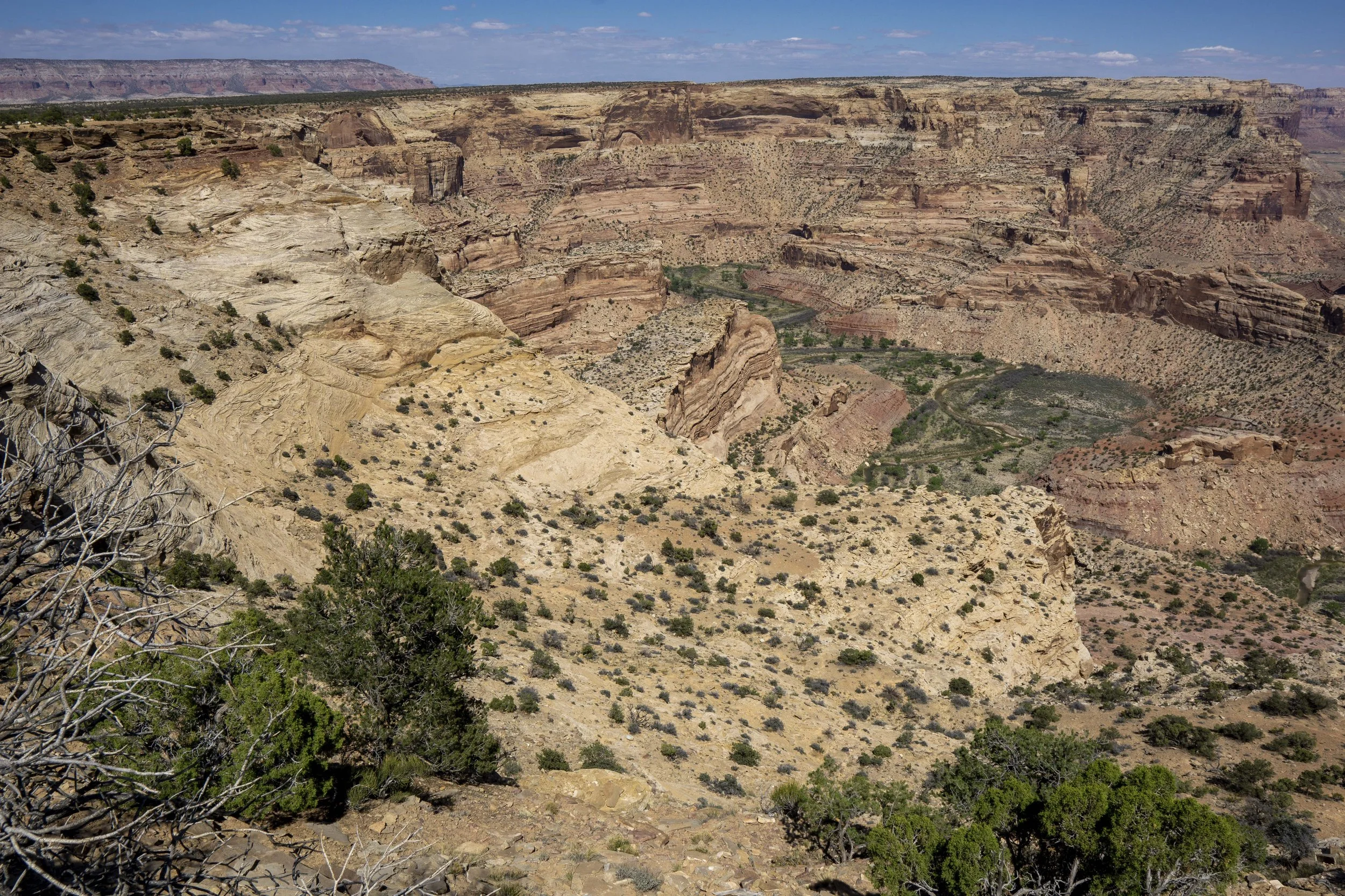 "Little Grand Canyon" seen from the Wedge Overlook