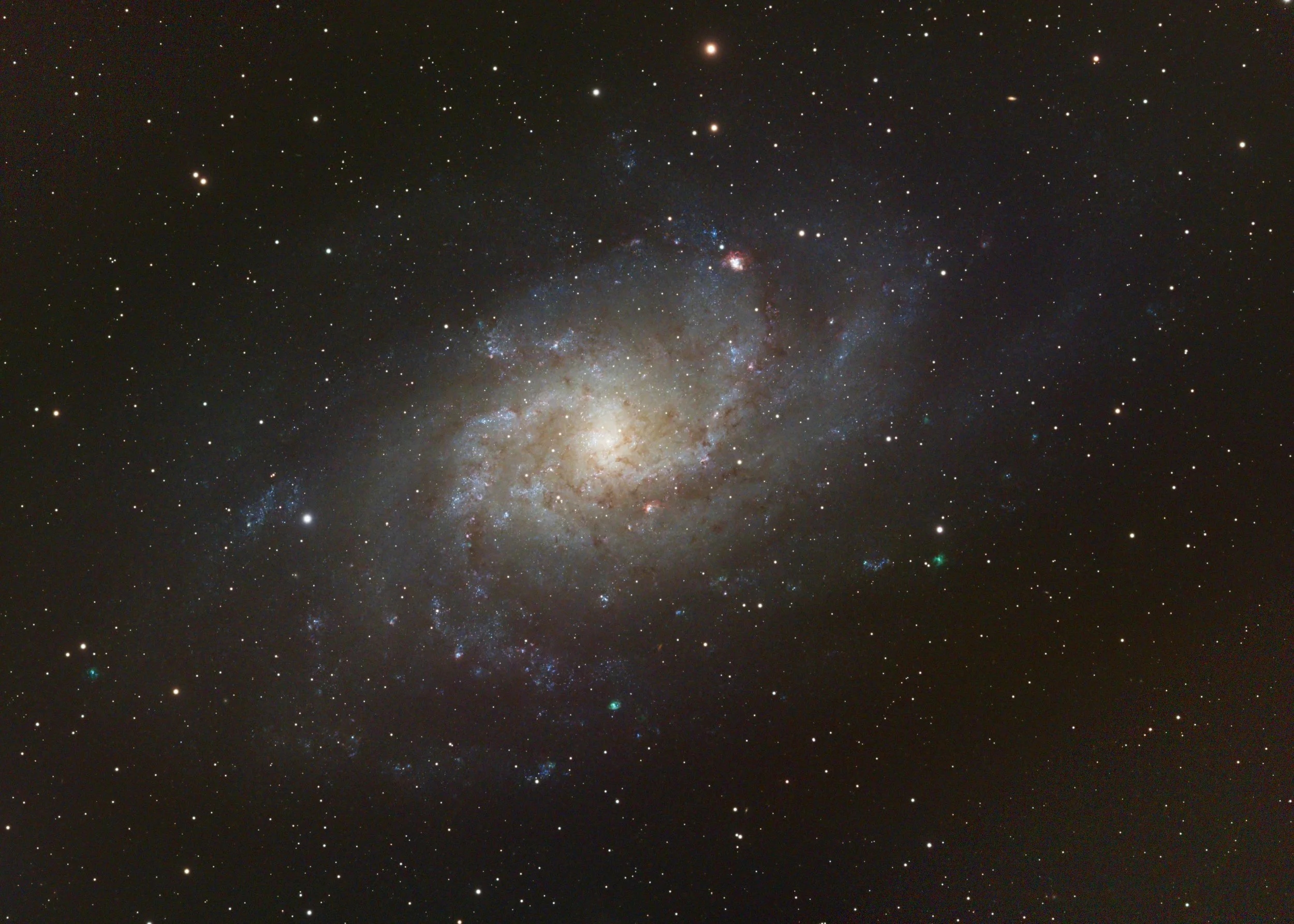 Triangulum Galaxy