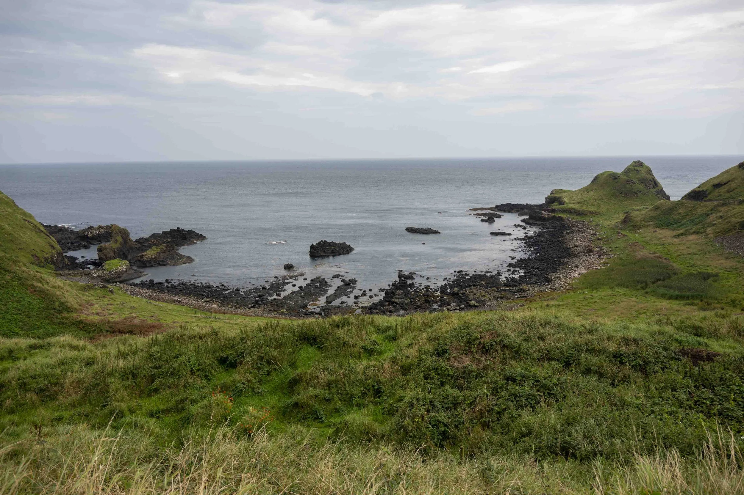 coast_20260826_2873.JPG