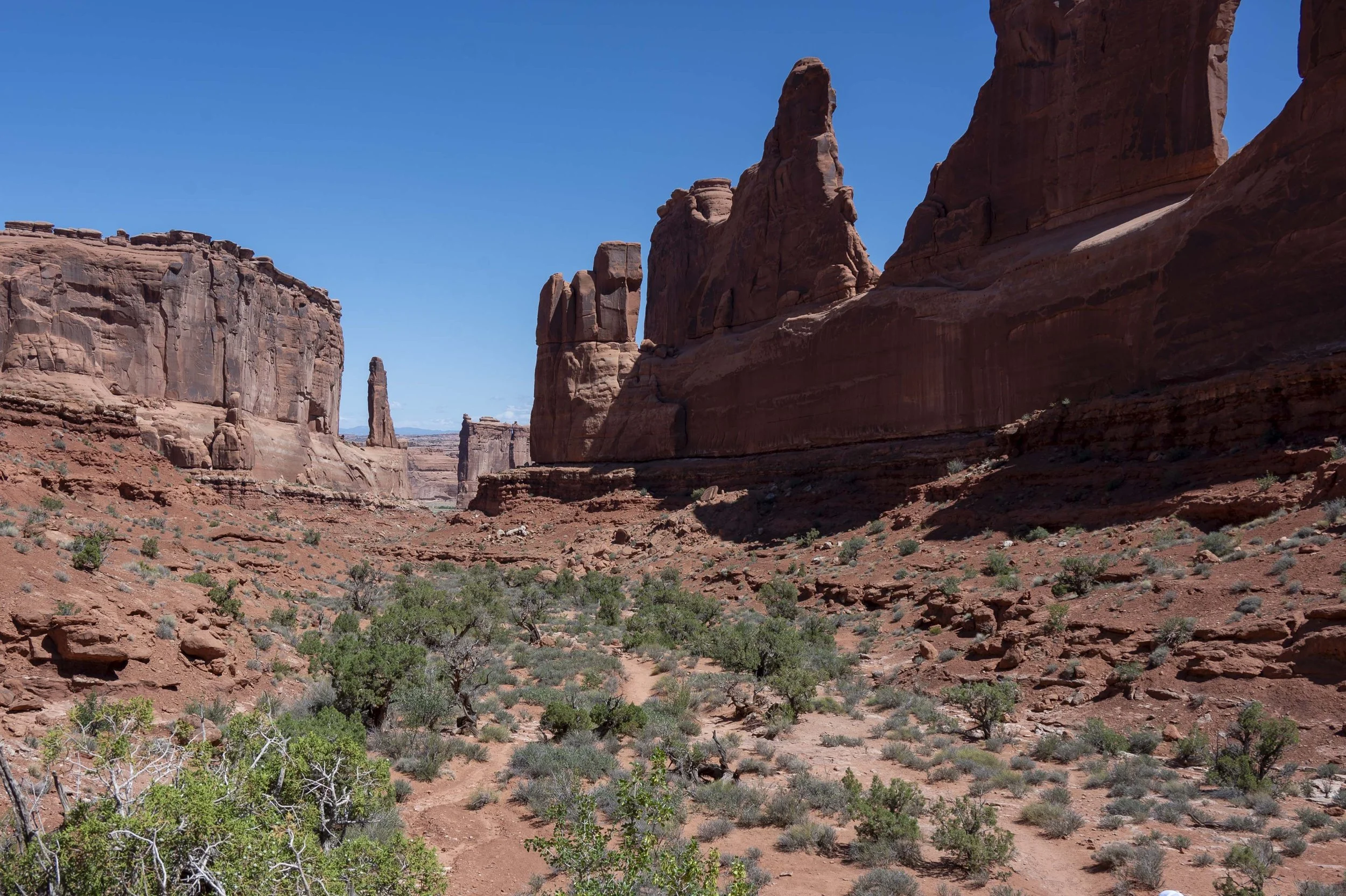 Park Avenue Trail