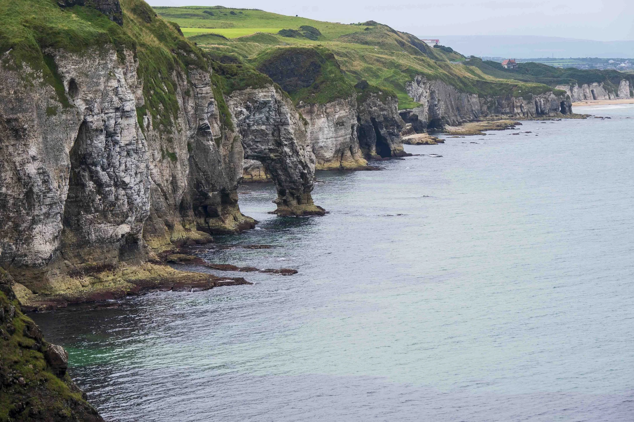 coast_20260826_2973.JPG