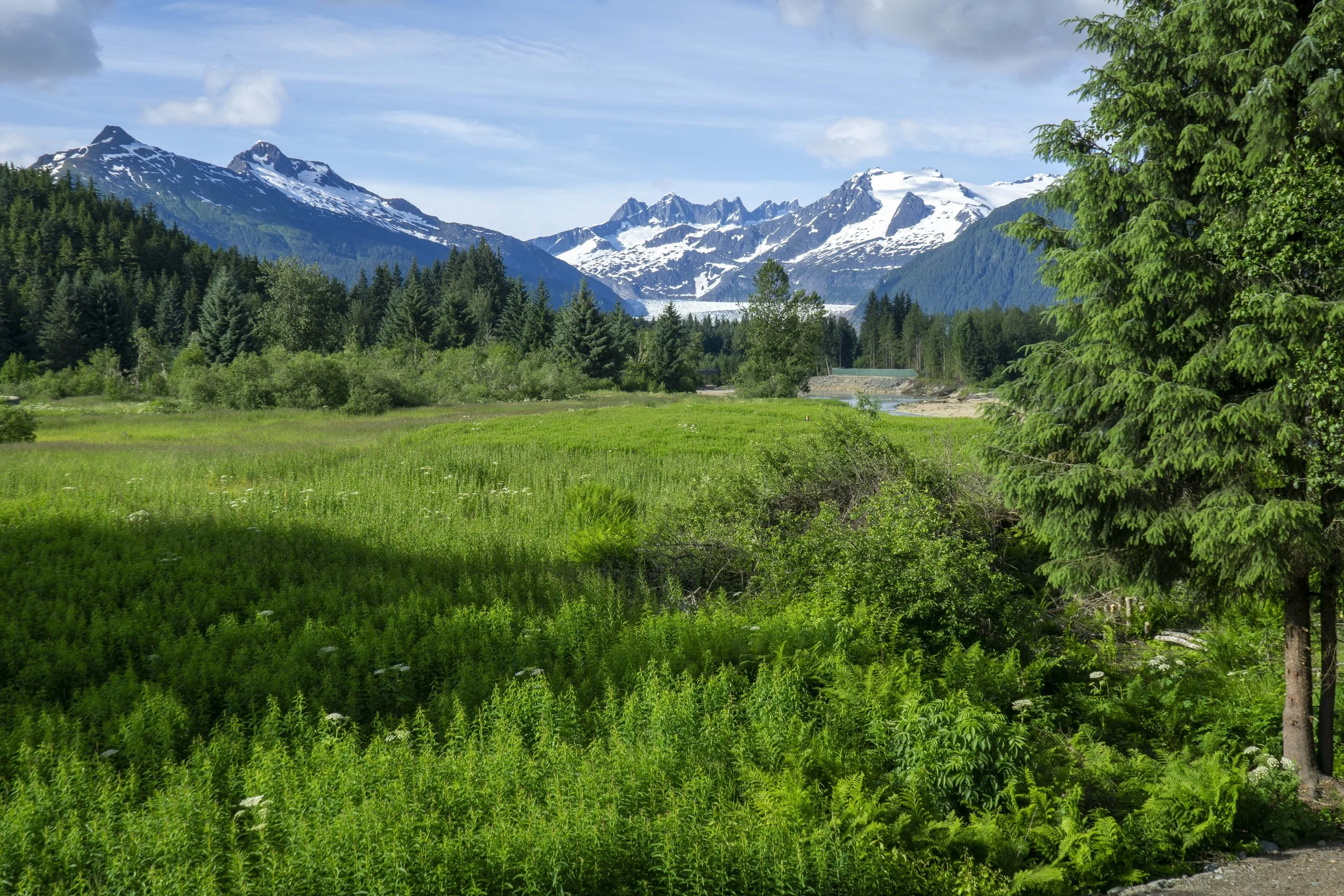 Mendenhall Glacier