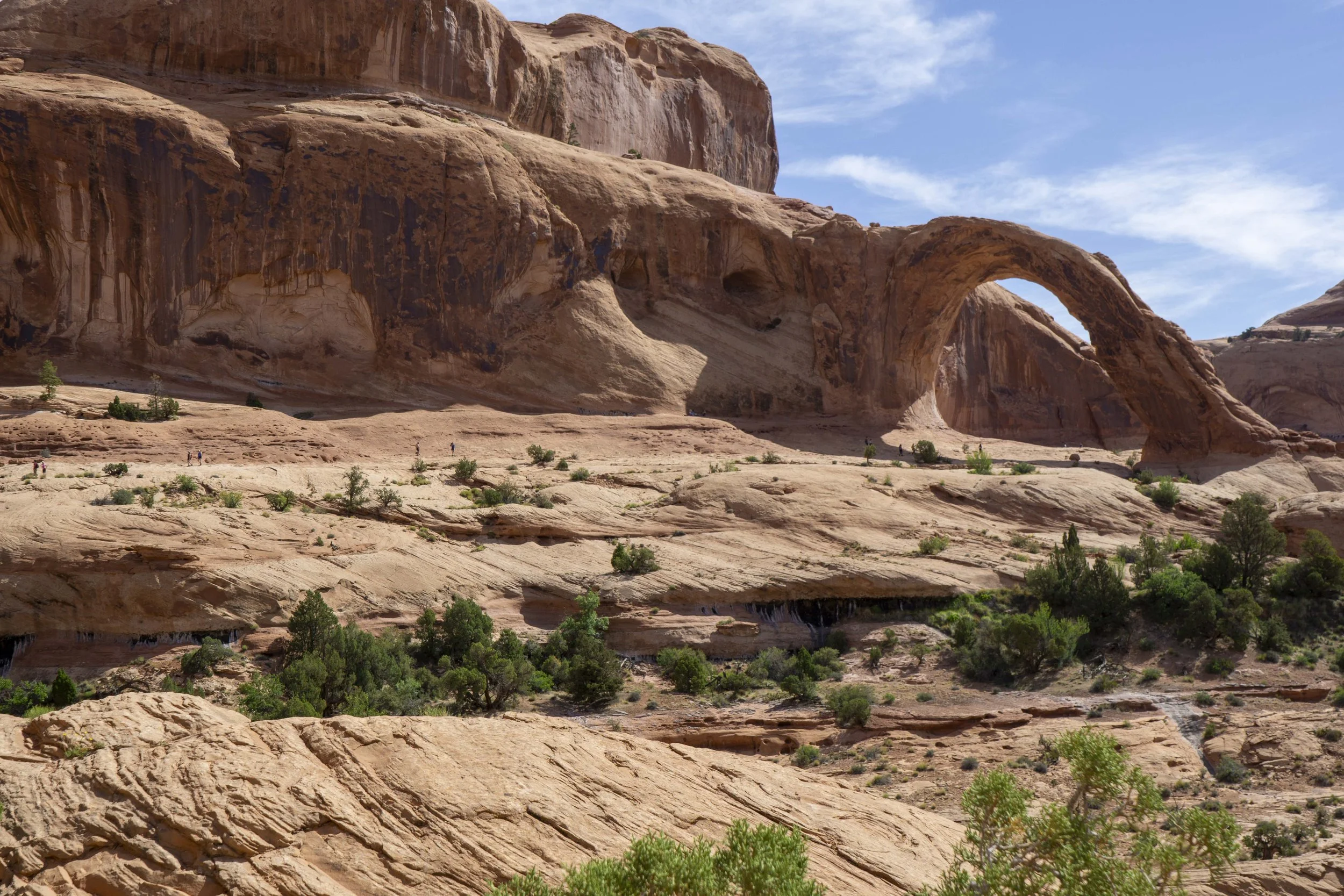 Corona Arch