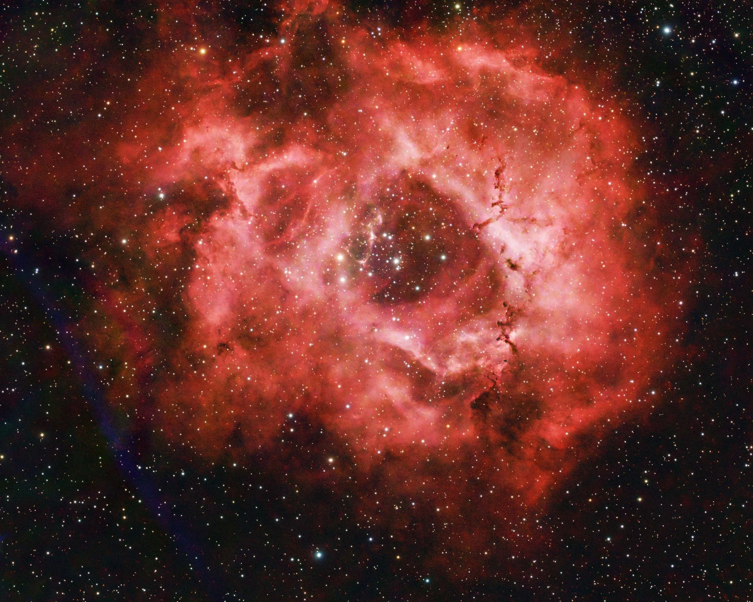 Rosette Nebula