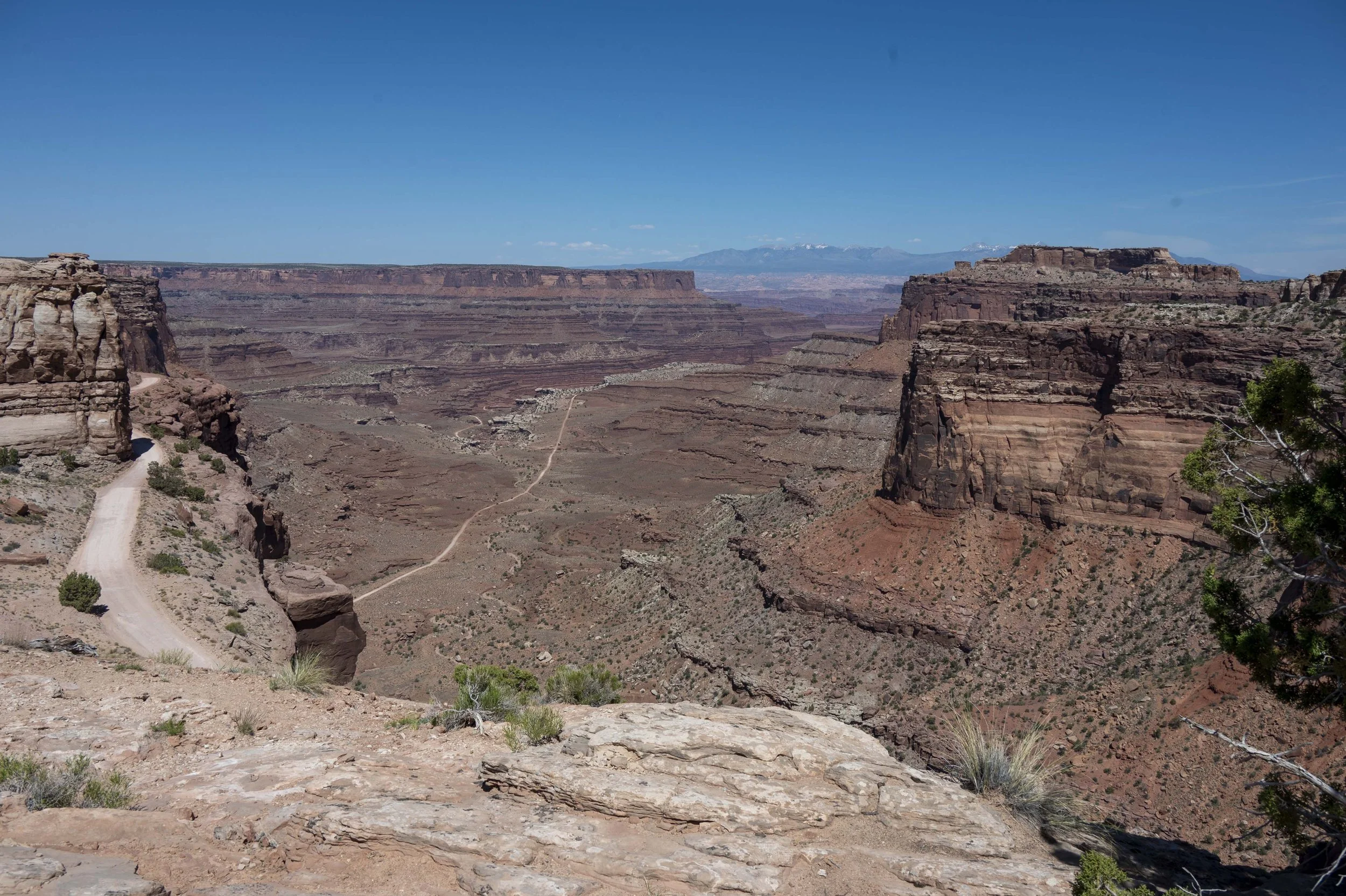 Can_20250522_0583.jpg