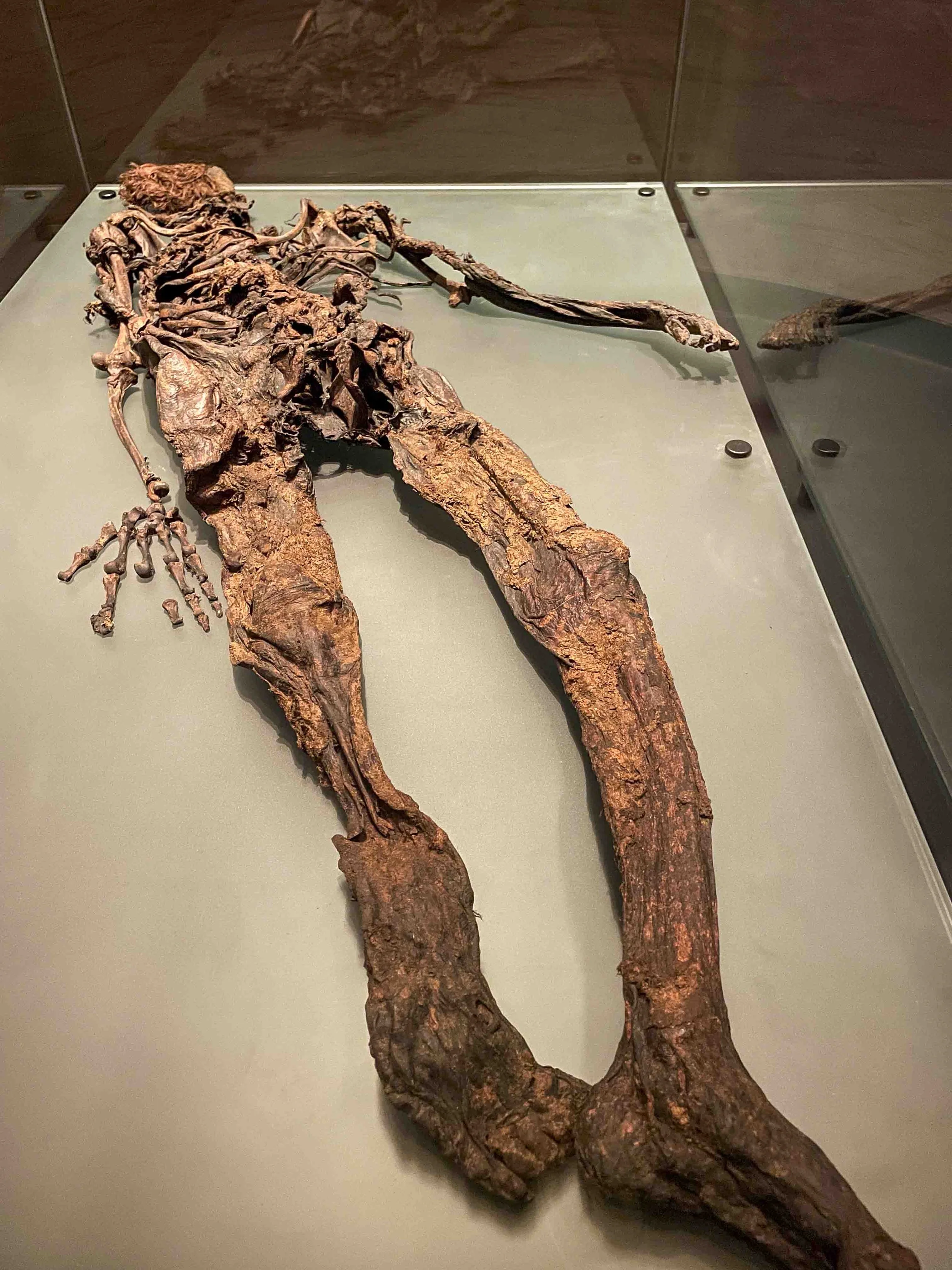 Bog body at the National Museum of Ireland - thought to be a human sacrifice from the Iron Age