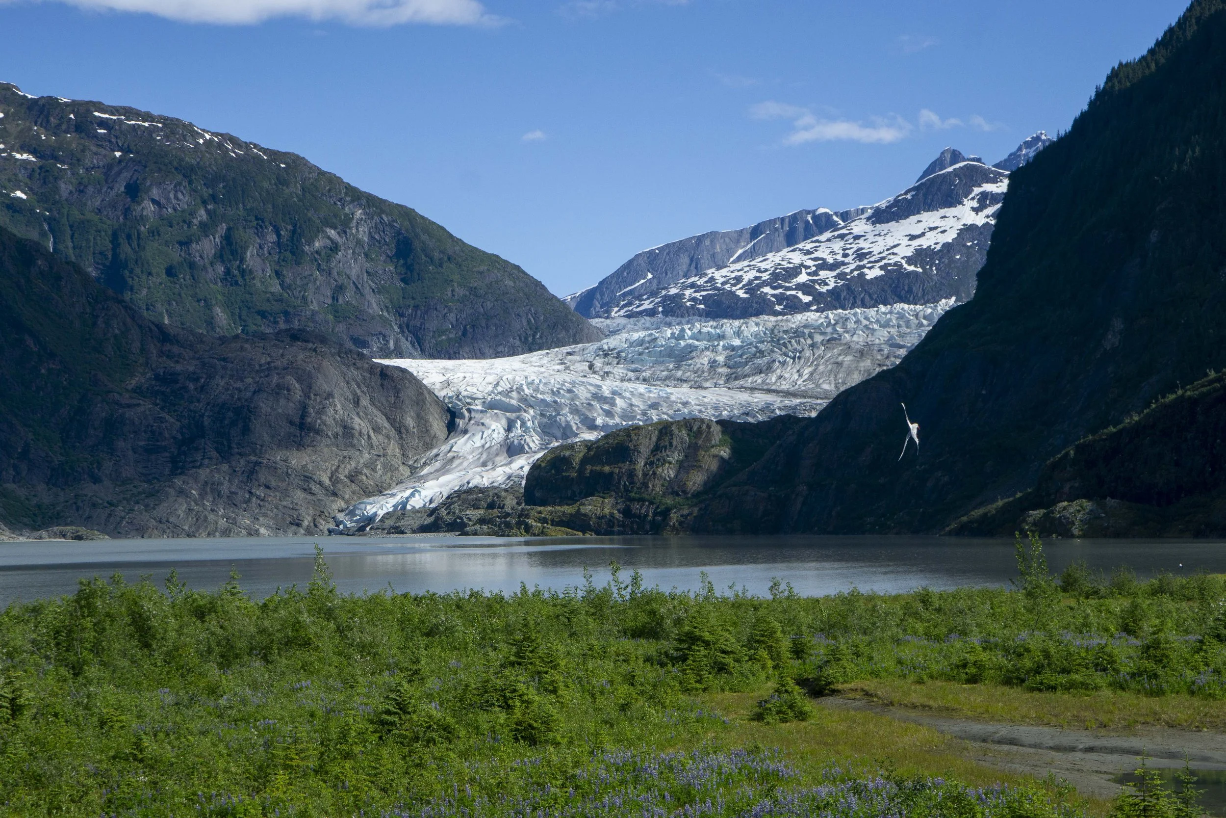 Mendenhall Glacier