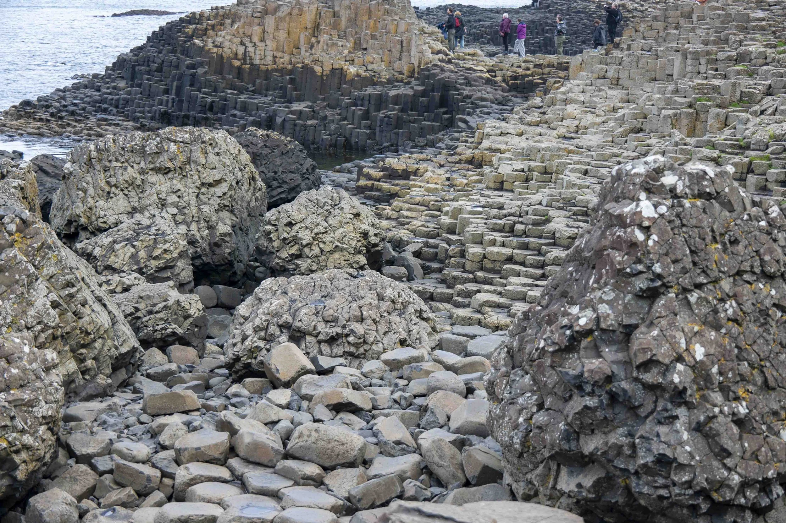 coast_20260826_2936.JPG