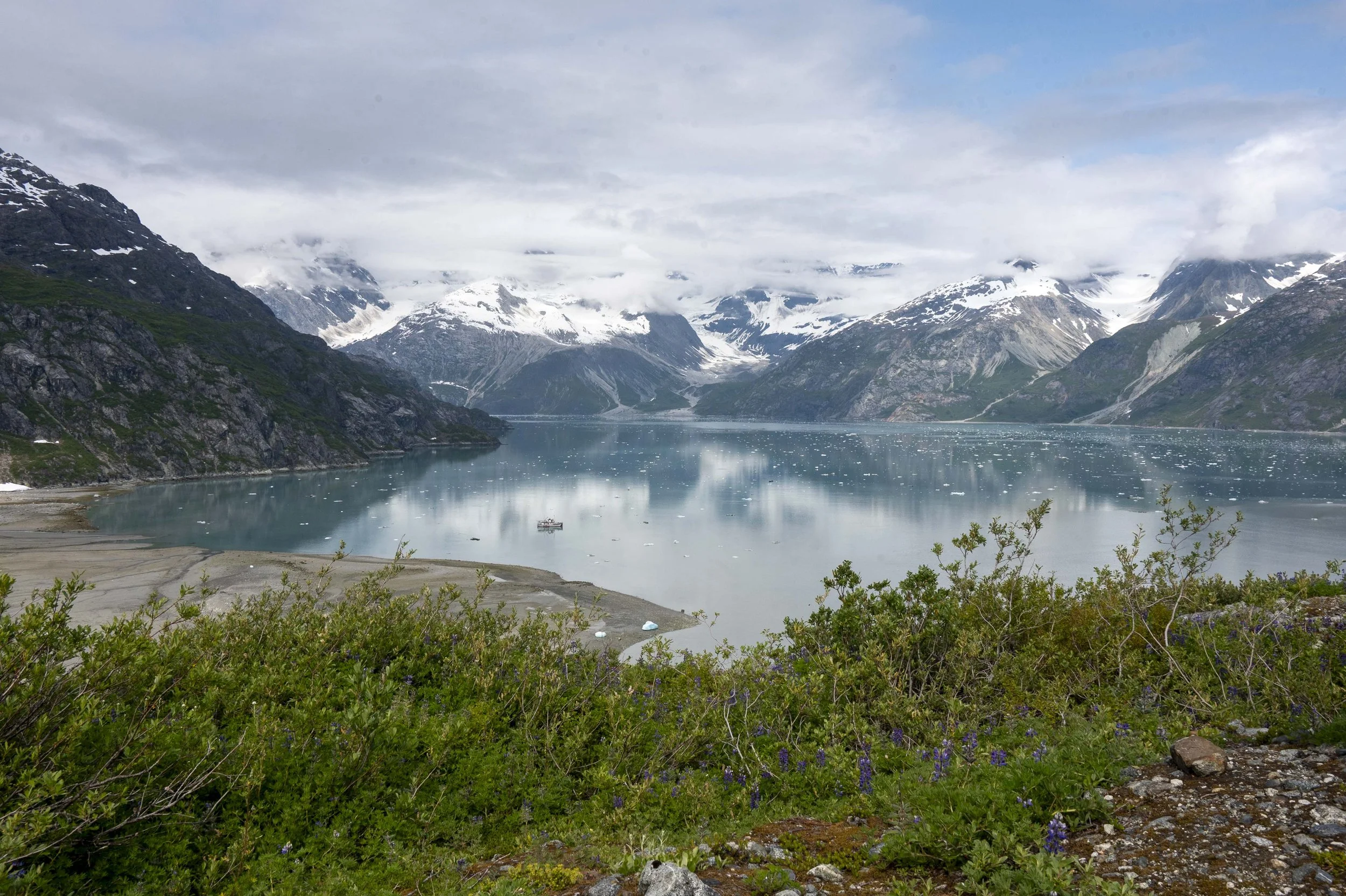 The Pacific Catalyst at anchor at the  Lamplugh Glacier