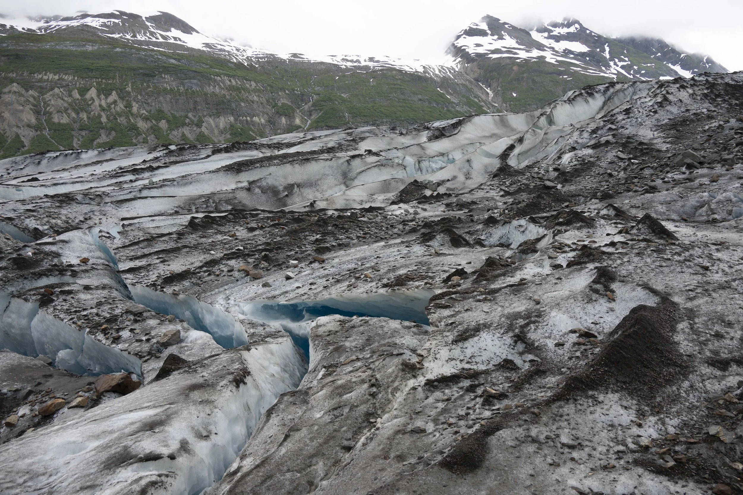 Reid Glacier