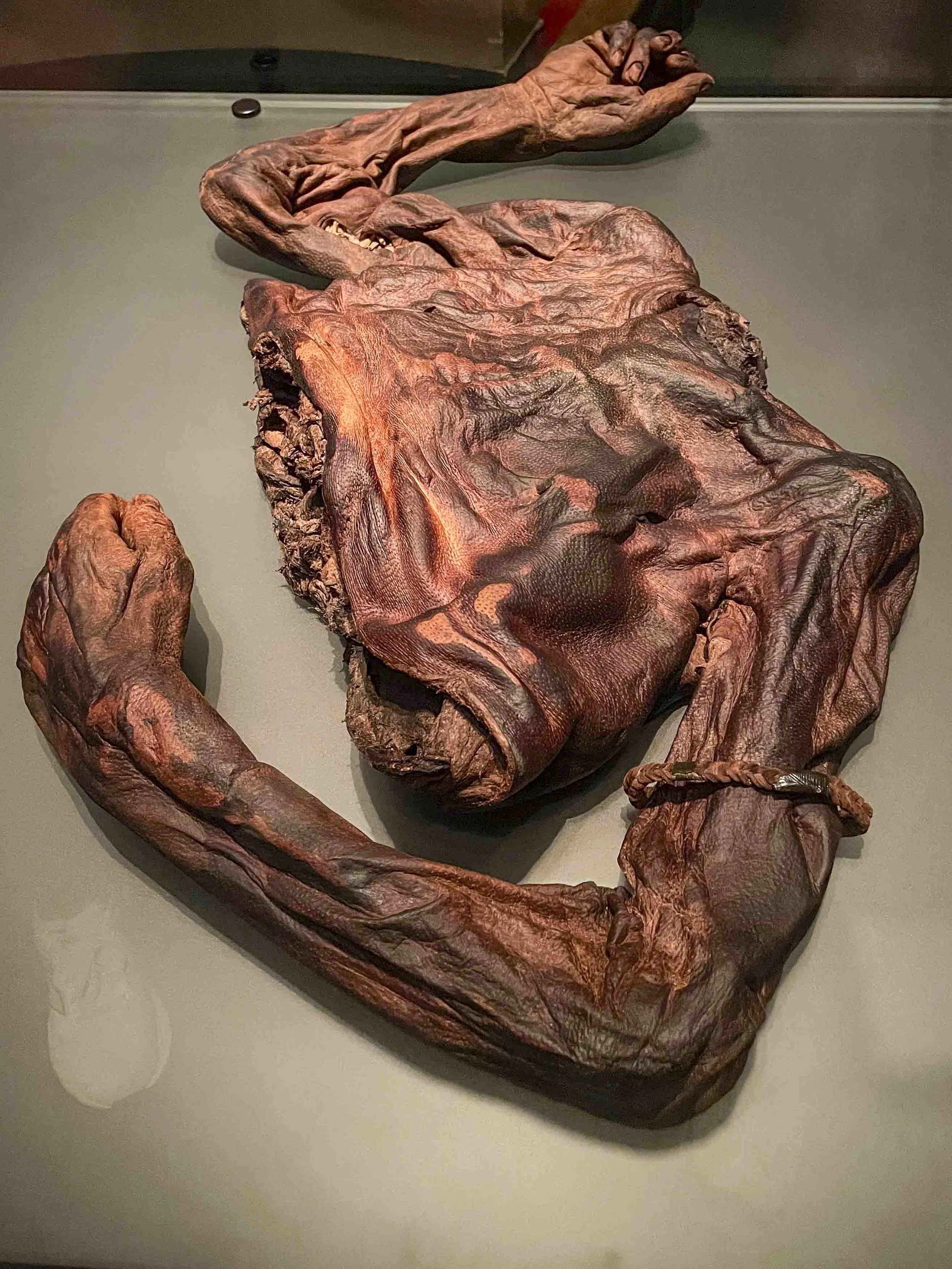 Torso and arms of 'Oldcroghan Man', a preserved set of remains found in a bog dating from the Iron Age