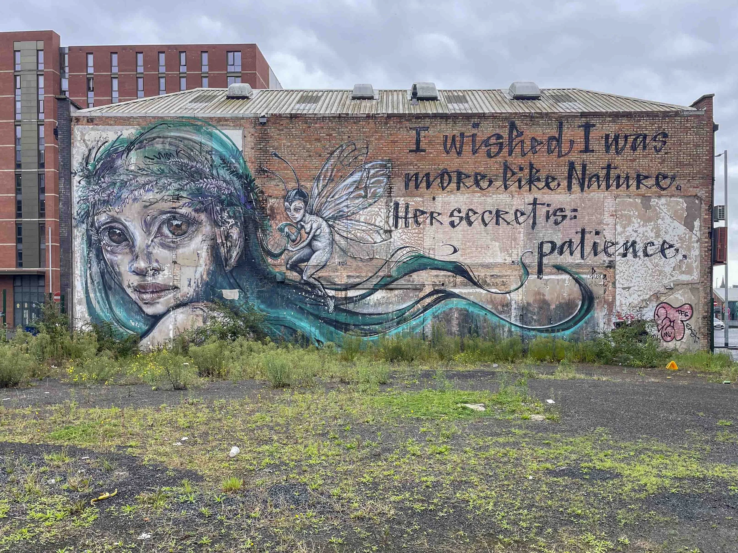 Belfast Street Art