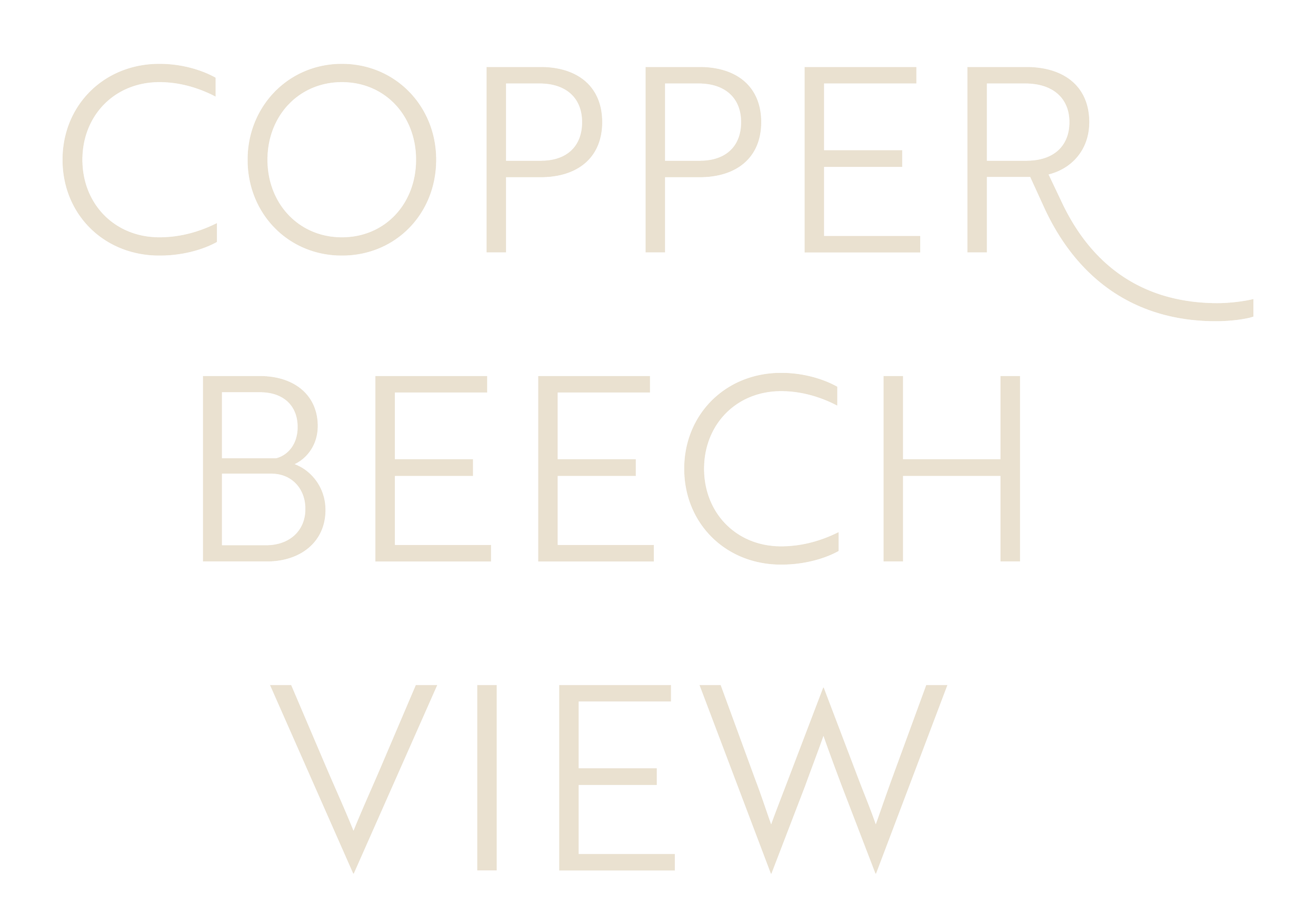 Copper Beech View Ede Homes New Homes Bristol