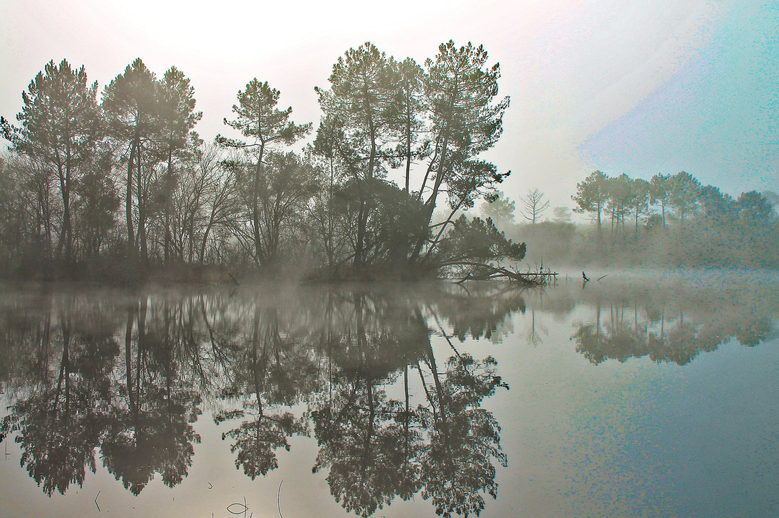 Landes lac.jpg