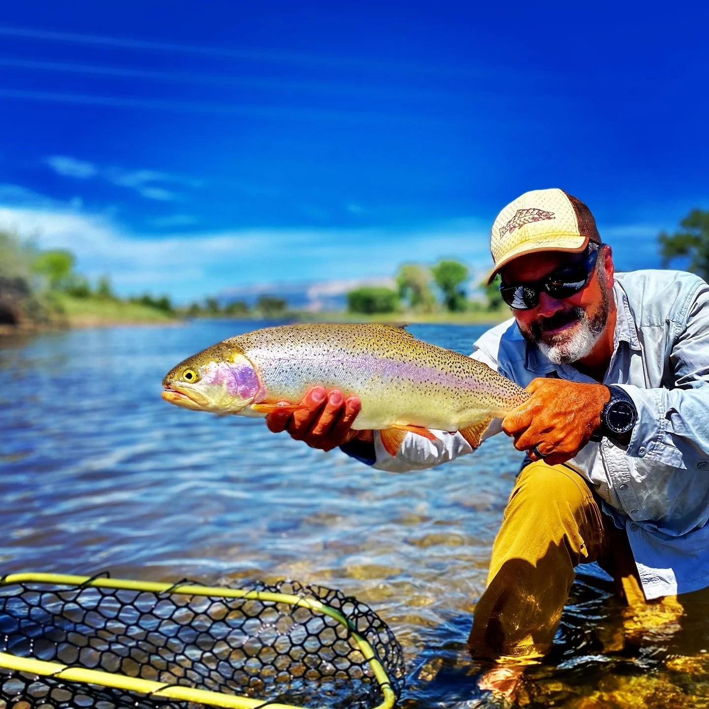 Ruttrow Rainbow.JPG