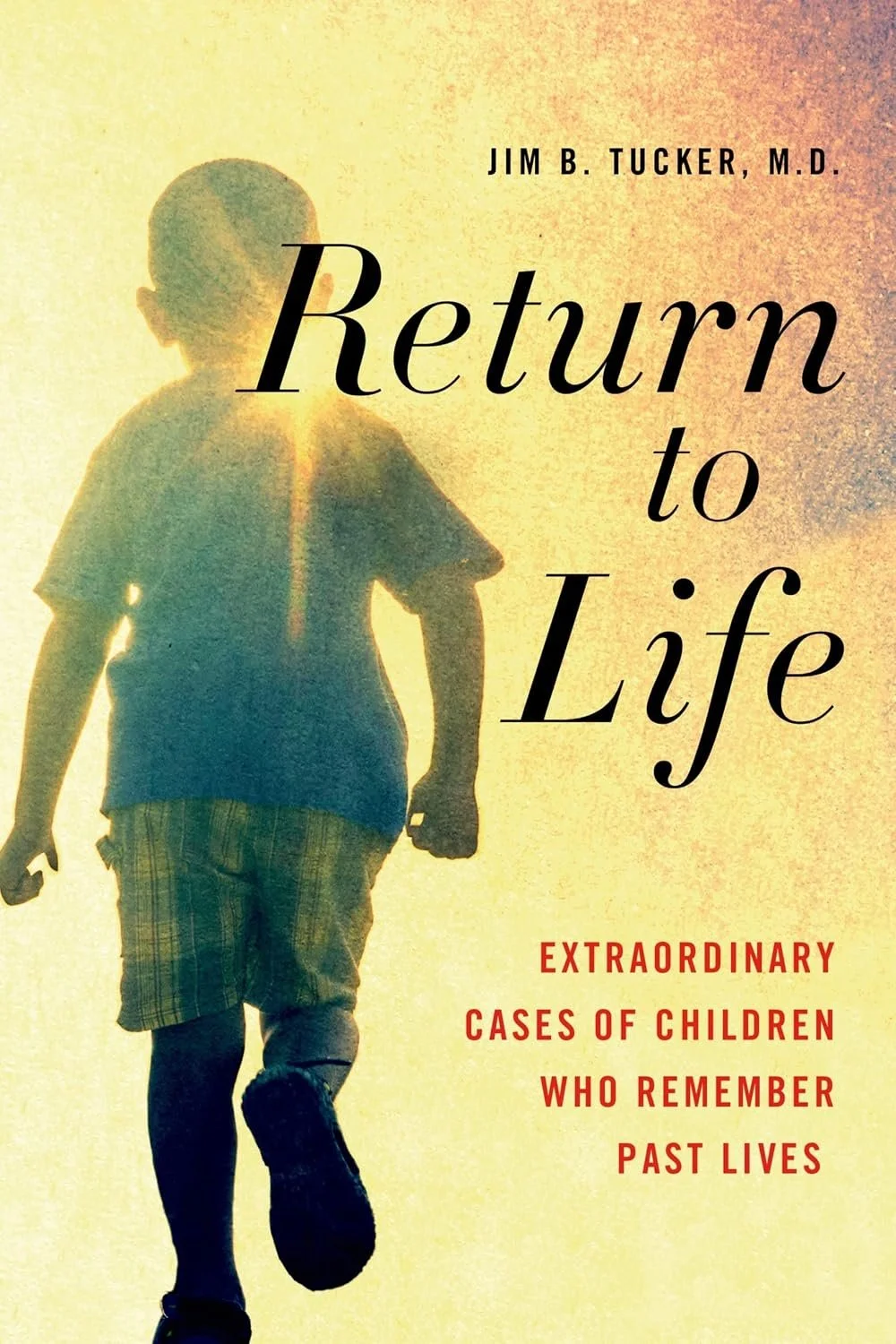 Book cover: Image of a child running. The sun shines above the child's shoulder. The image is pixelated.