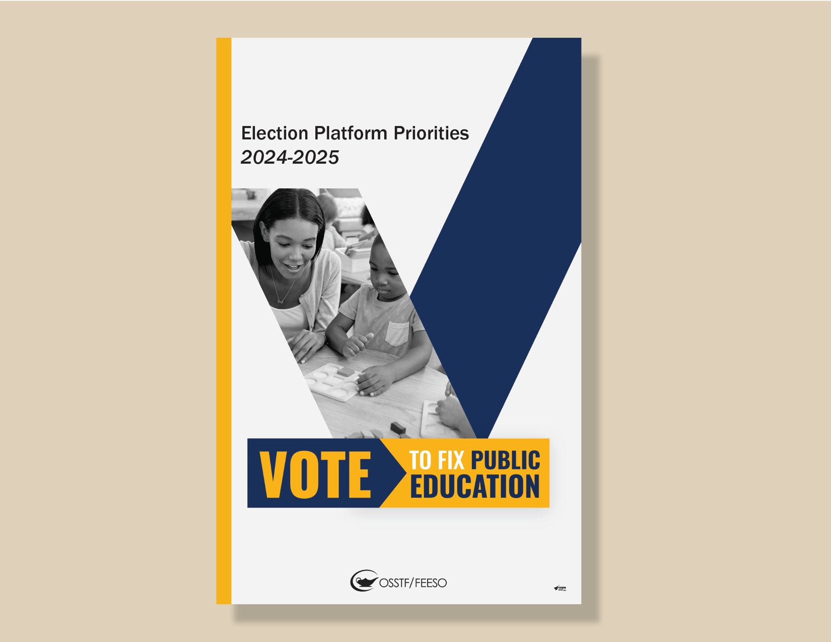 Provincial Election Manual 2025
