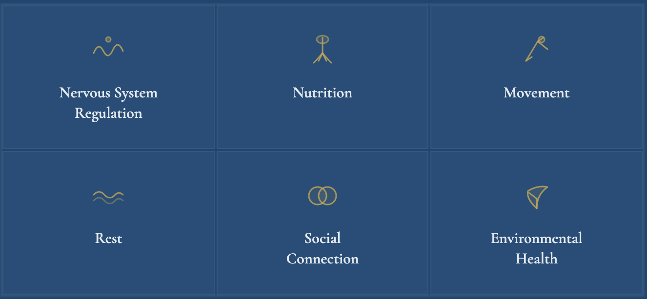 A grid chart with six sections labeled Neurophysiology, Nutrition, Movement, Rest, Social Connection, and Environmental Health, each with relevant icons.