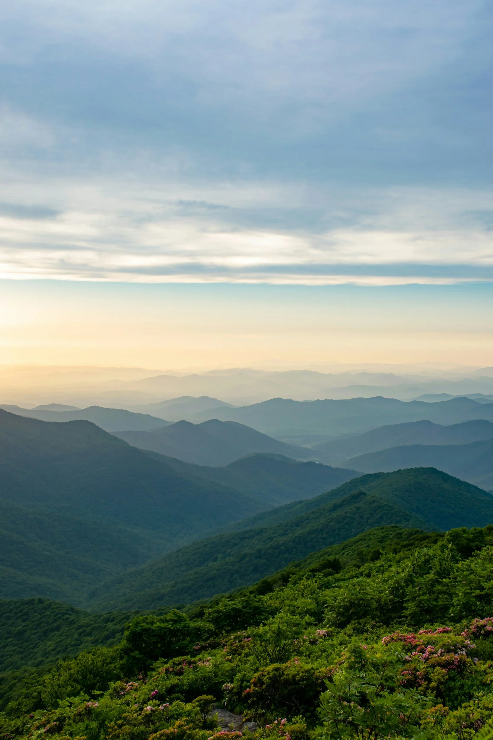 A scenic view of rolling green mountains with some pink and purple flowers in the foreground, layers of mountains stretching into the horizon, under a partly cloudy sky.
