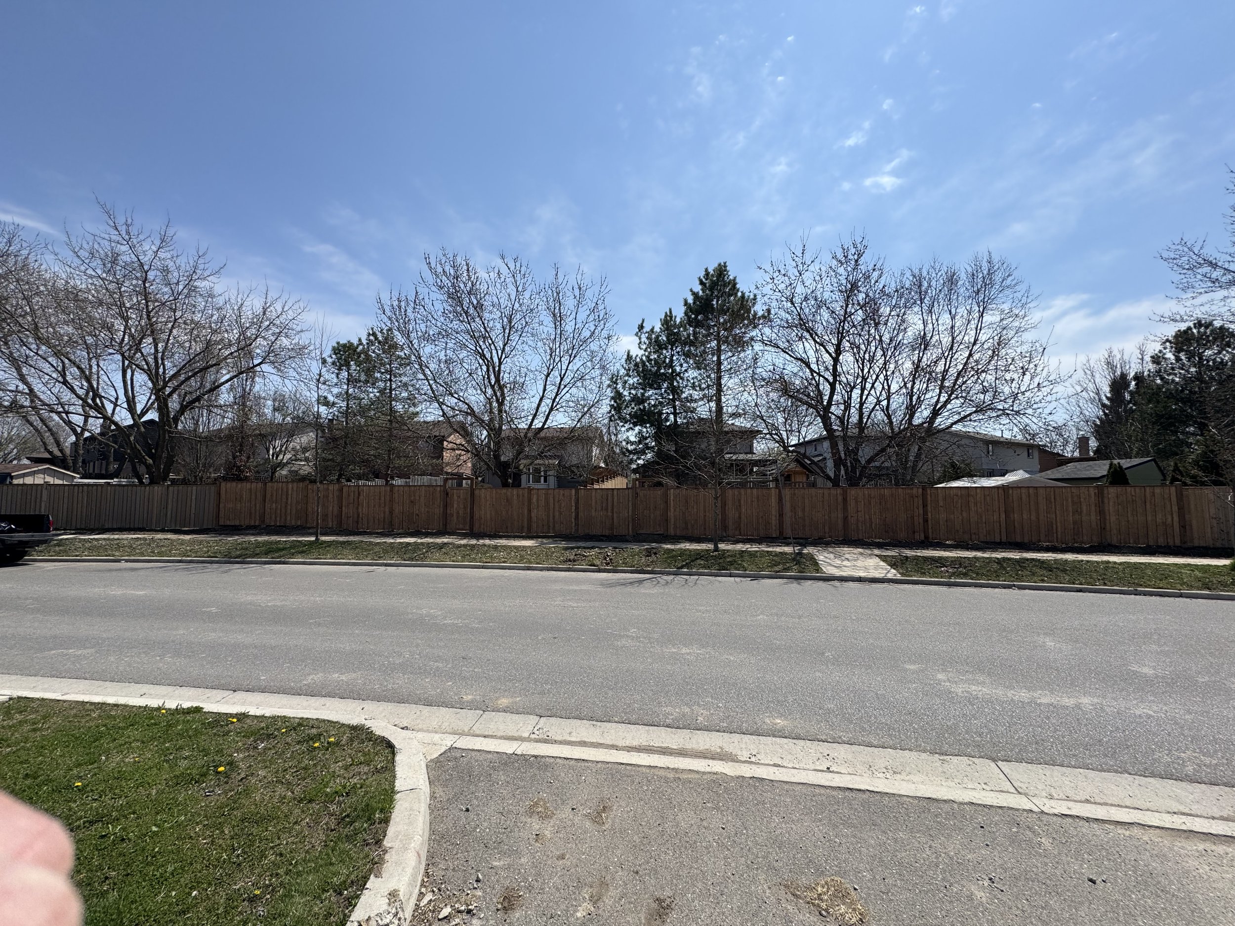 IMG_4310.jpeg