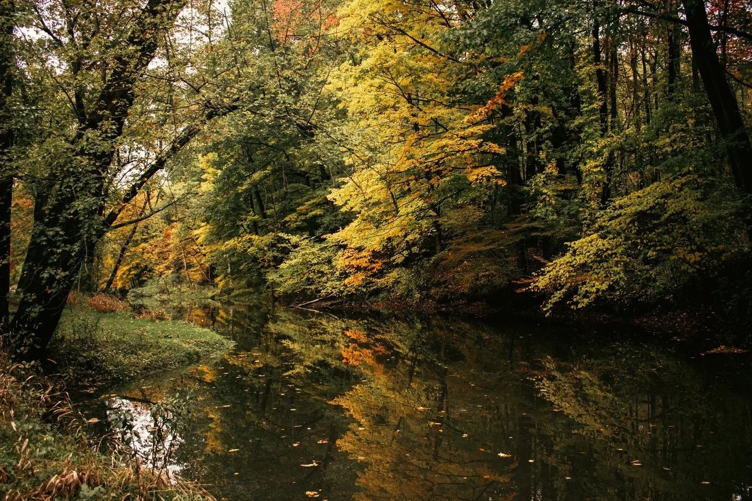 Resilience in the Season of Change