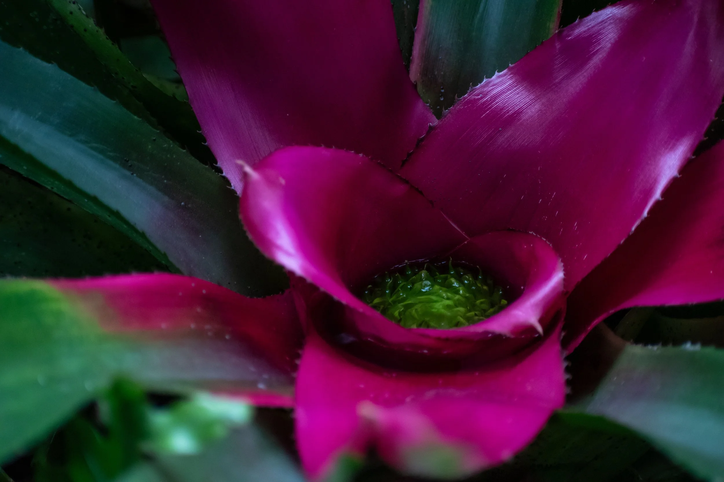 _DSC0506.jpeg