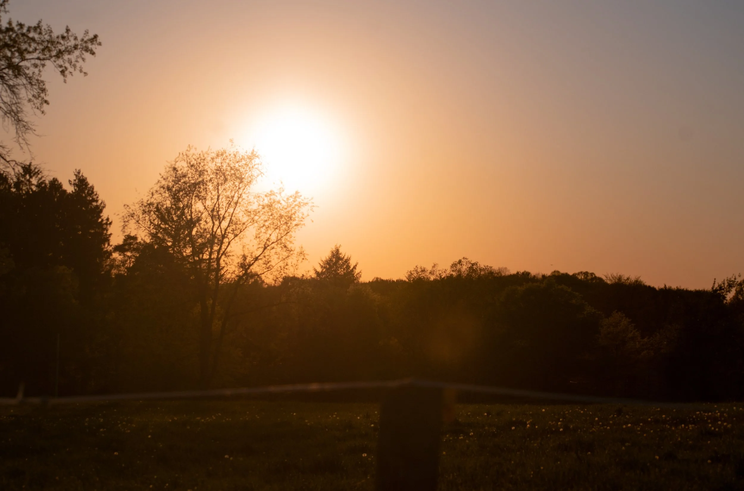 _DSC1287.jpeg