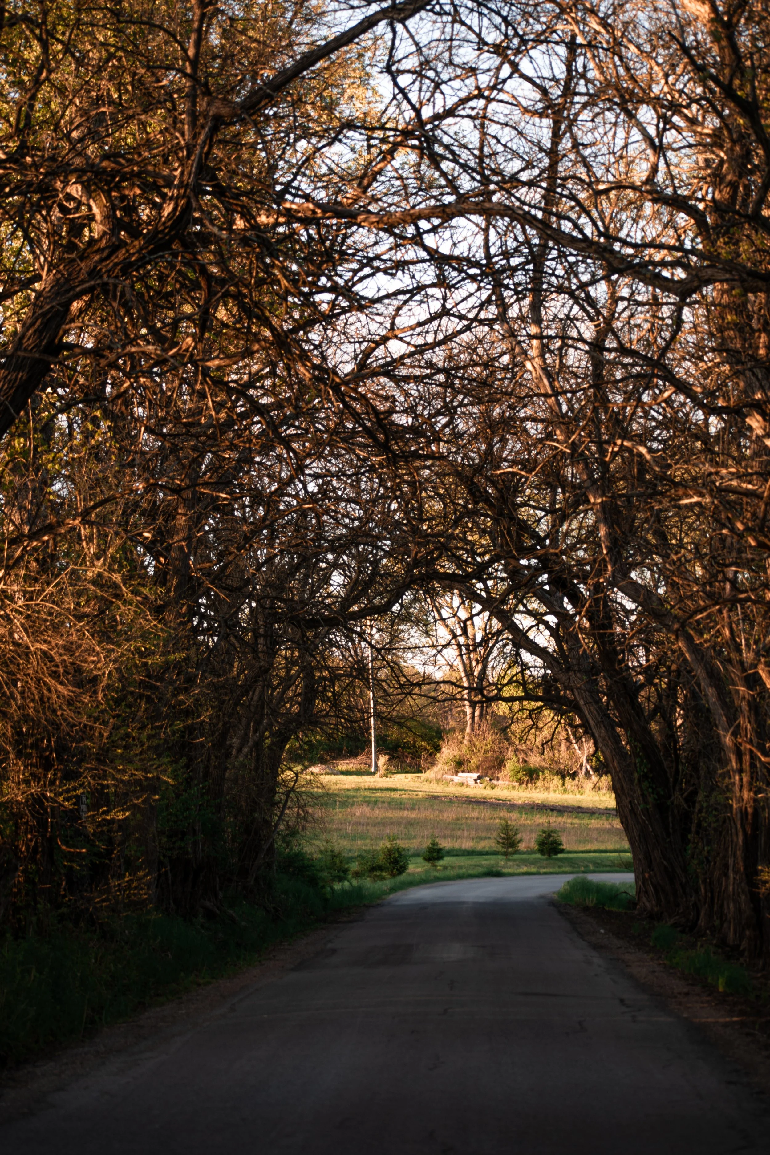 _DSC1276.jpeg
