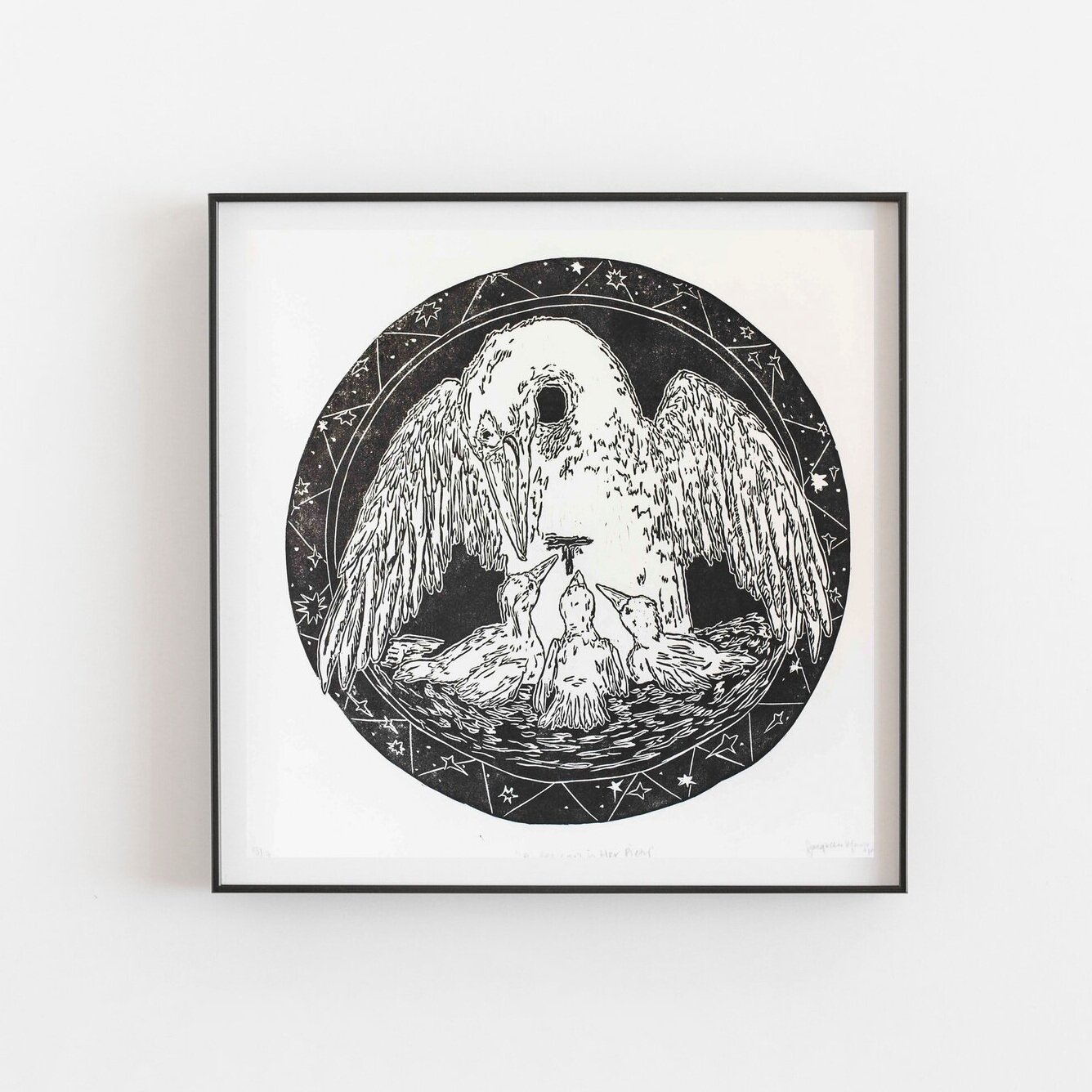 Pelican.jpg