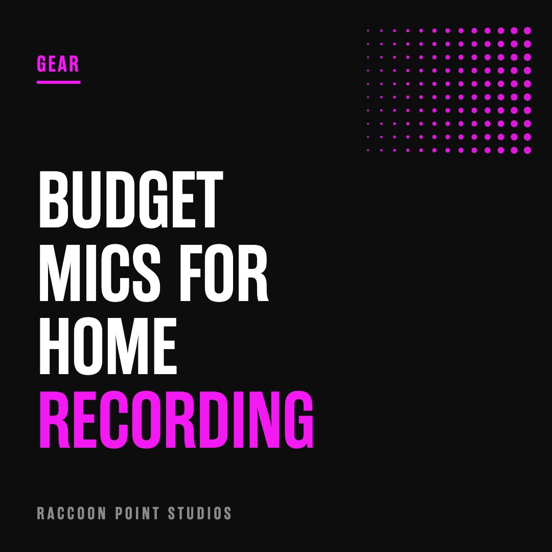 are there any budget-friendly microphones for home recording??