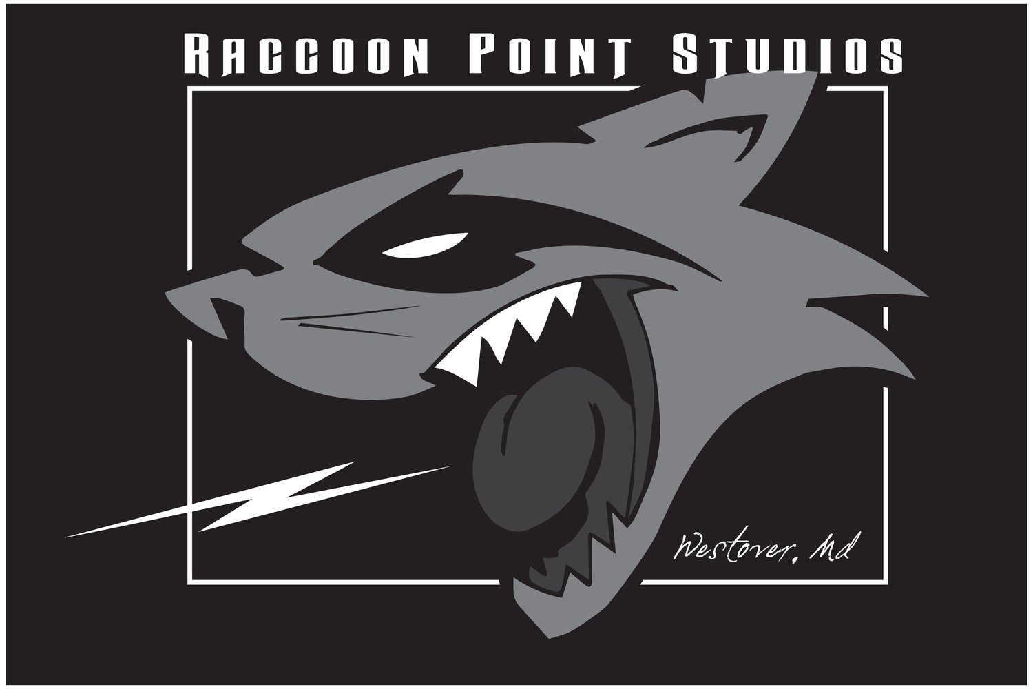 Raccoon Point Studios