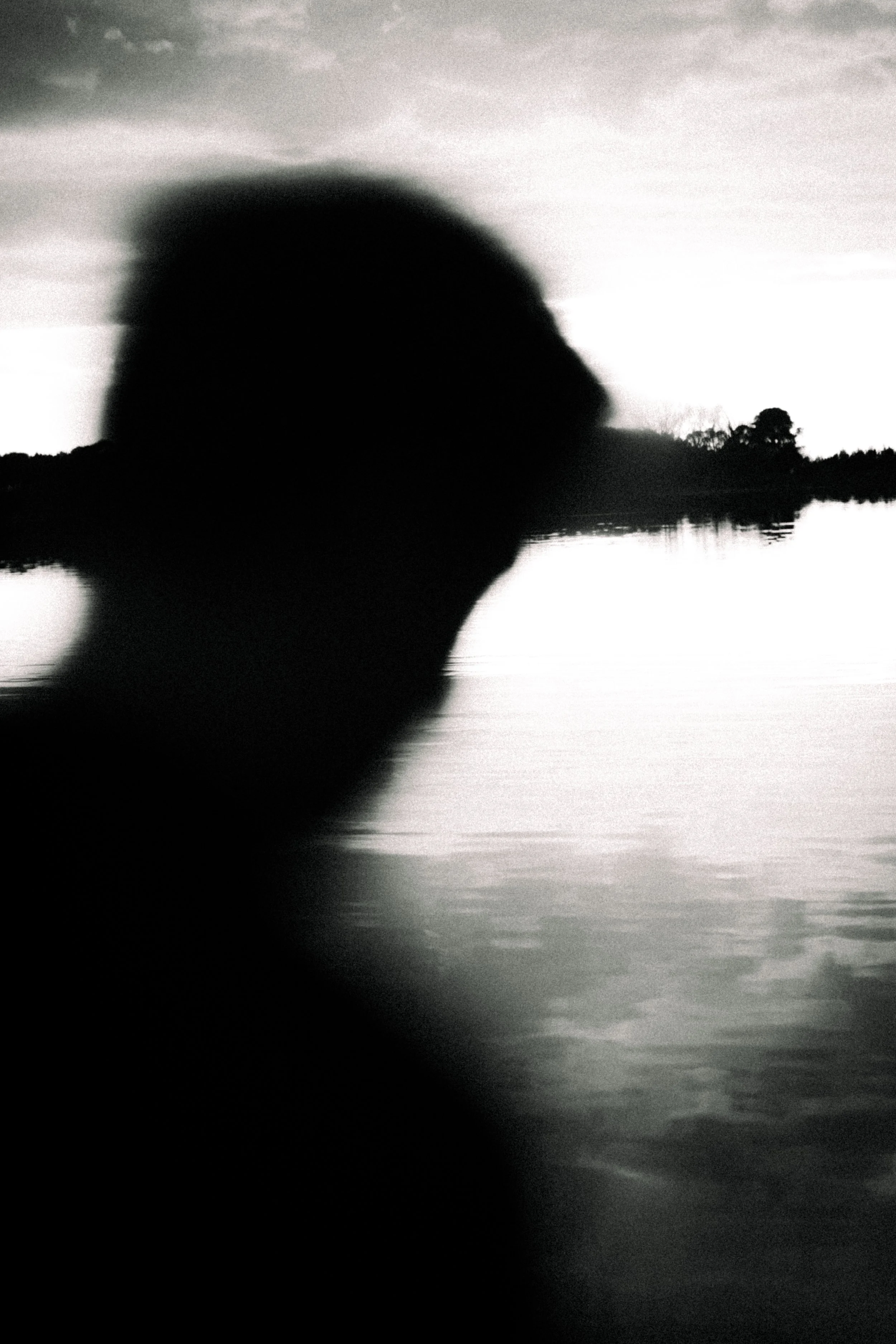 Black and white photo of a silhouette of a person's profile with a landscape of trees and a body of water in the background.