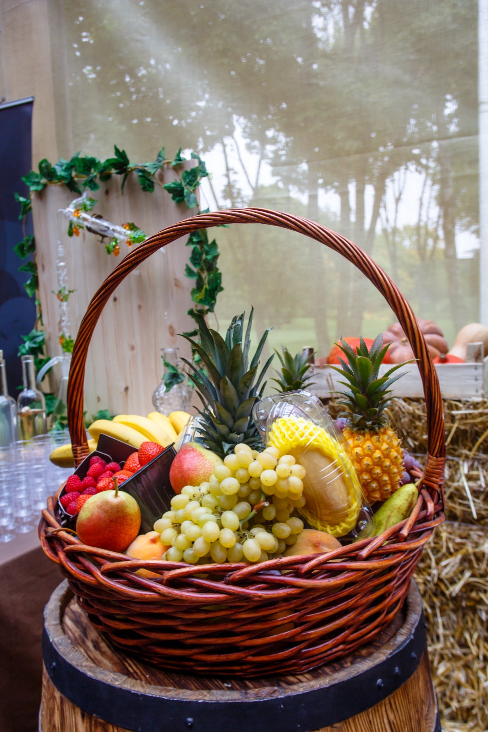 Fruit Basket