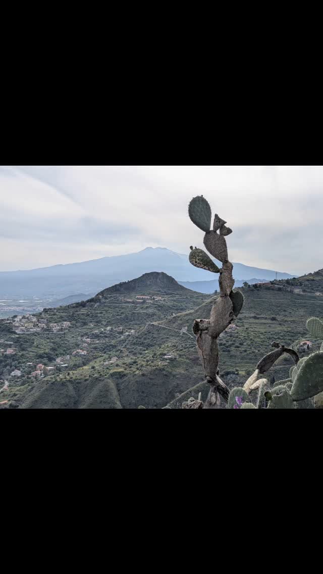 Sicily stuns with its dramatic mix of mountains and the crystal clear blue sea, a striking and unforgettable landscape.
#sicily #nature #sea #mountains #wildlifephotography #wildflowers