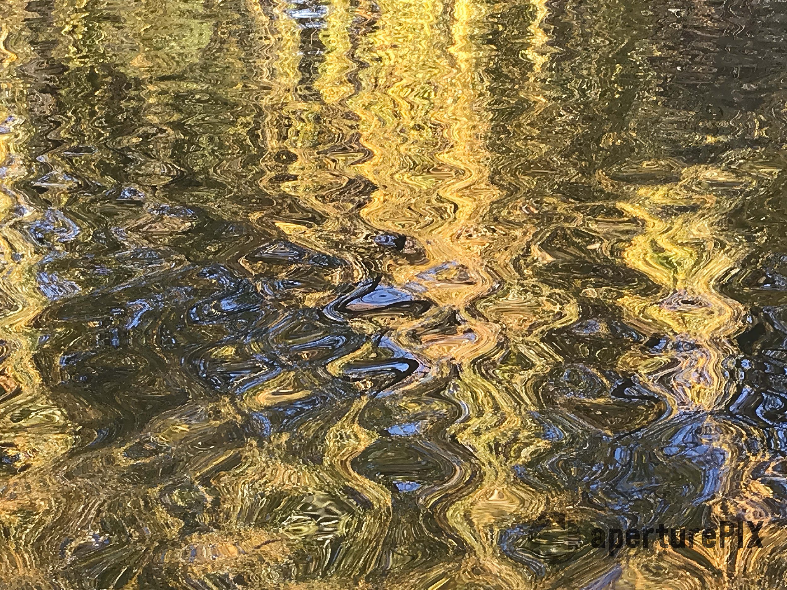 Autumn Trees Reflection in Bucharest Lake