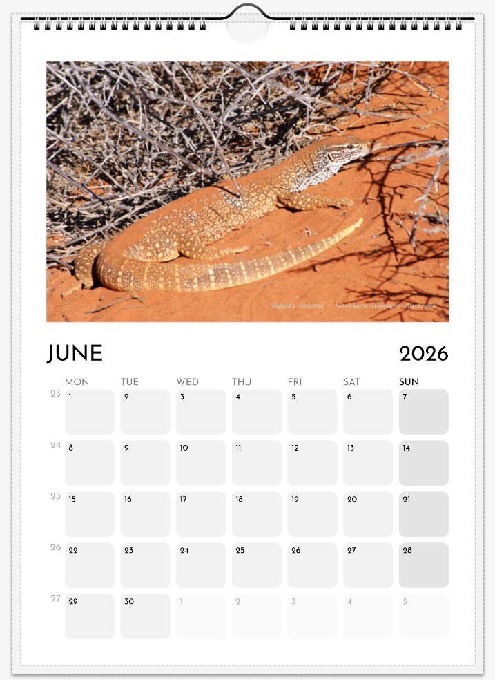 06-Goanna.png