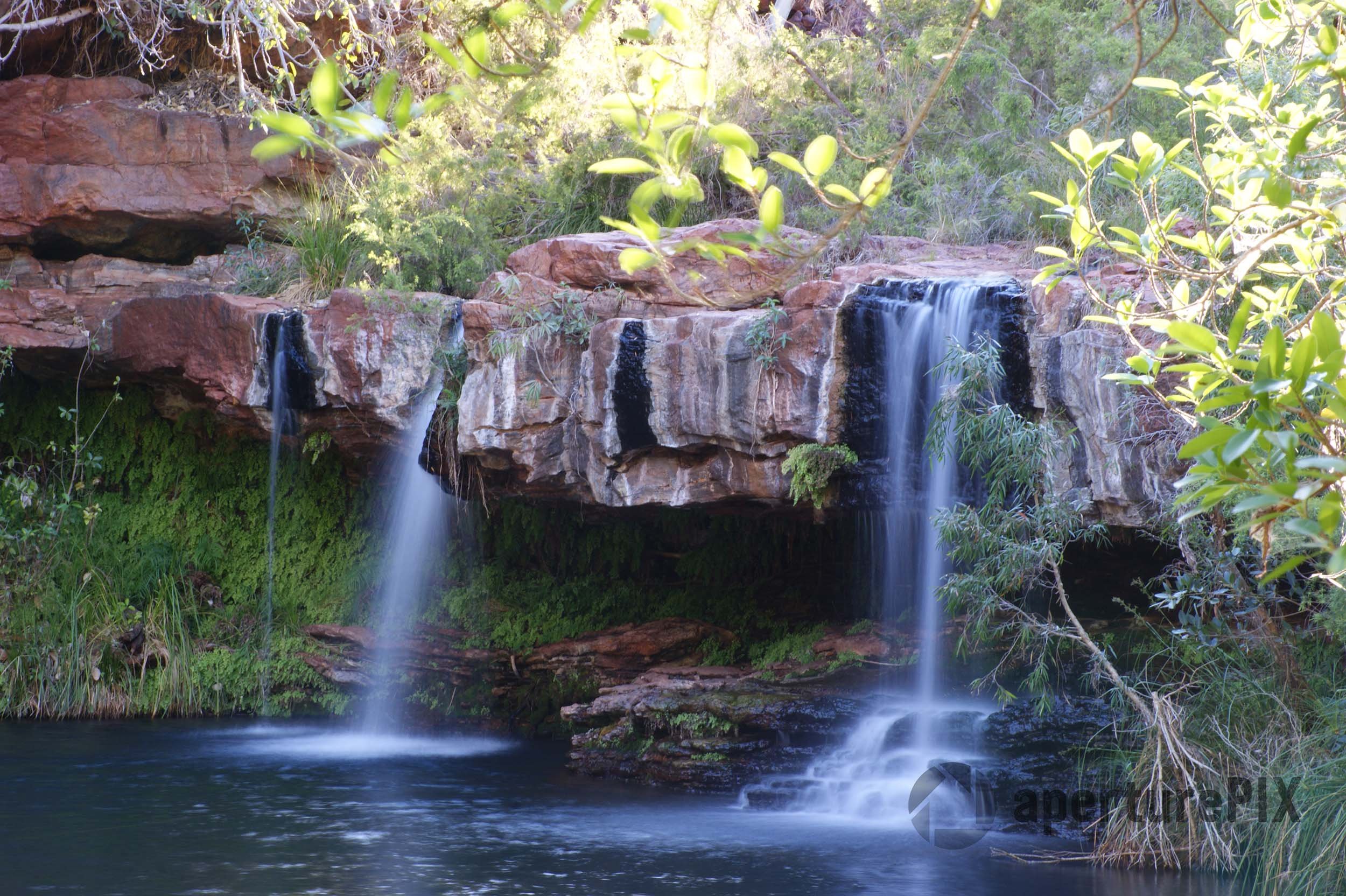 Fern Pool in Karijini National Park in WA