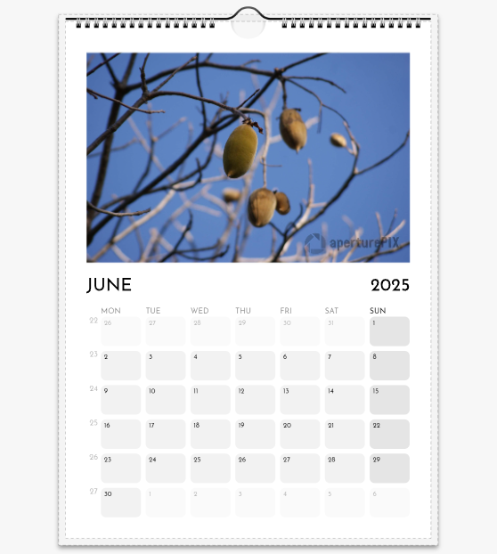 WA Flora 2025_06.png