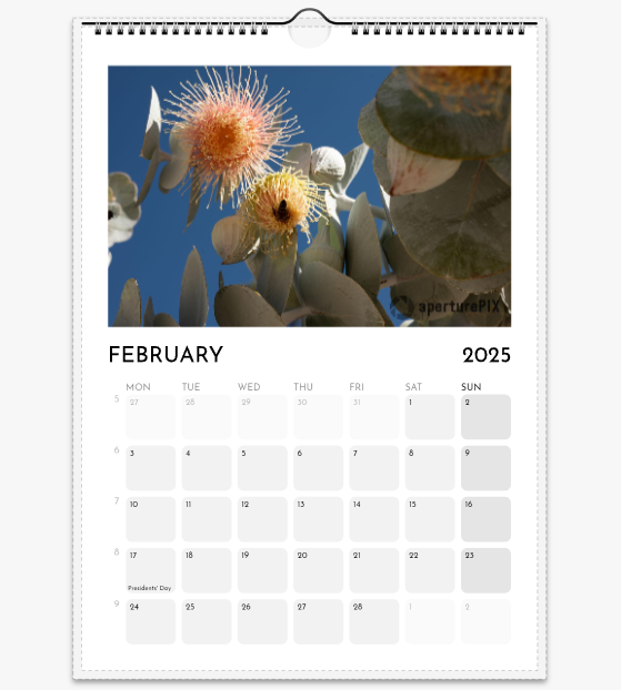 WA Flora 2025_02.png