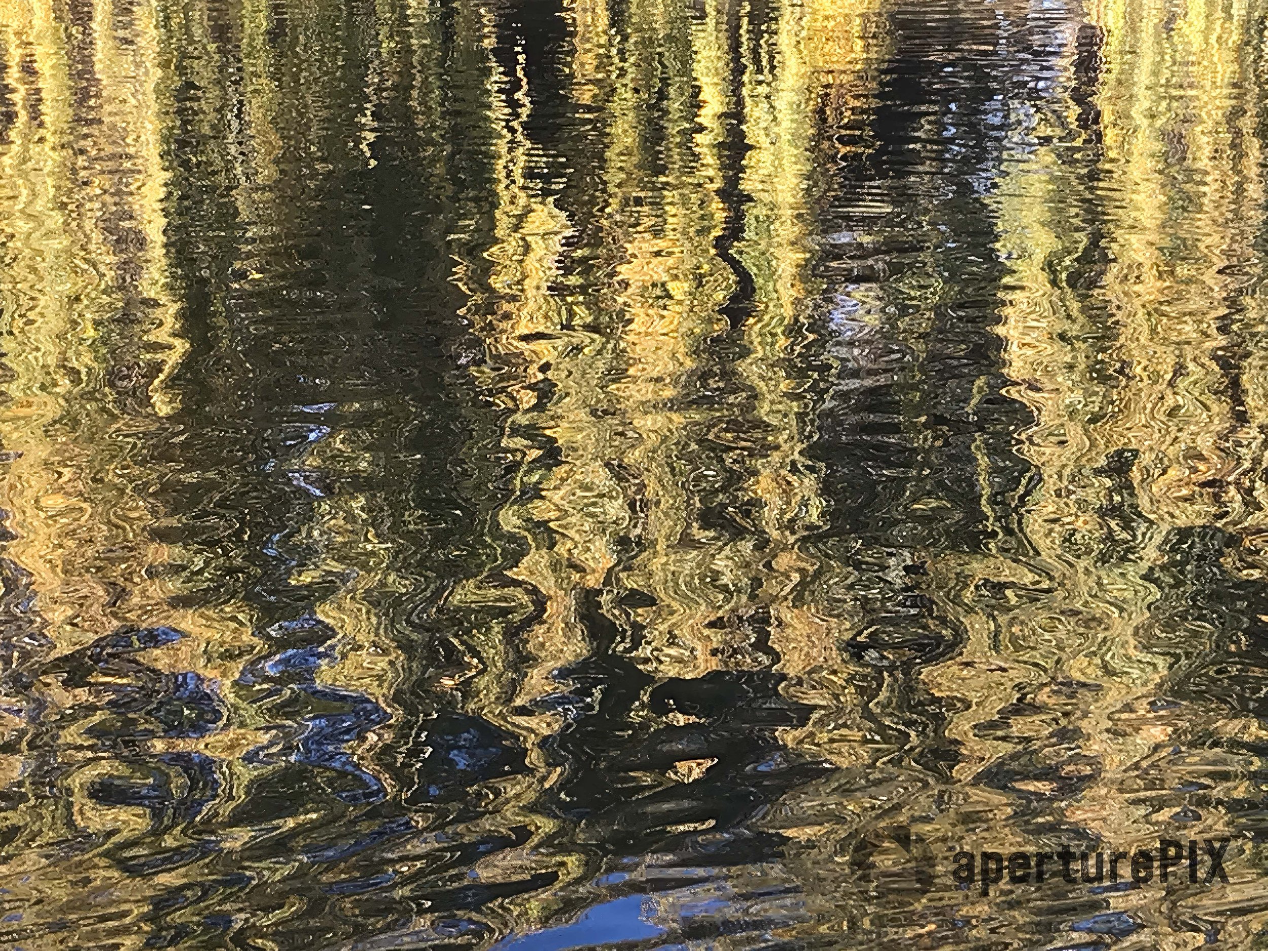 Autumn trees reflection in Bucharest lake