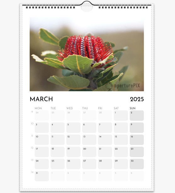 WA Flora 2025_03.png