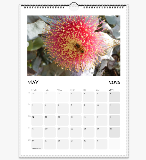 WA Flora 2025_05.png