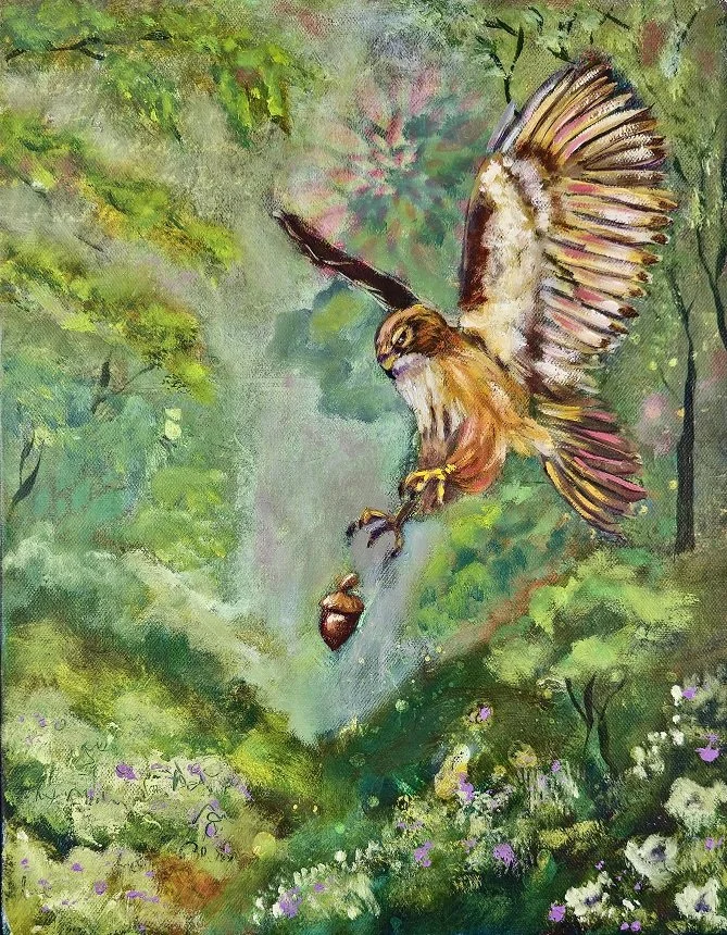 Hawk Drops 11x14 lowres.jpg