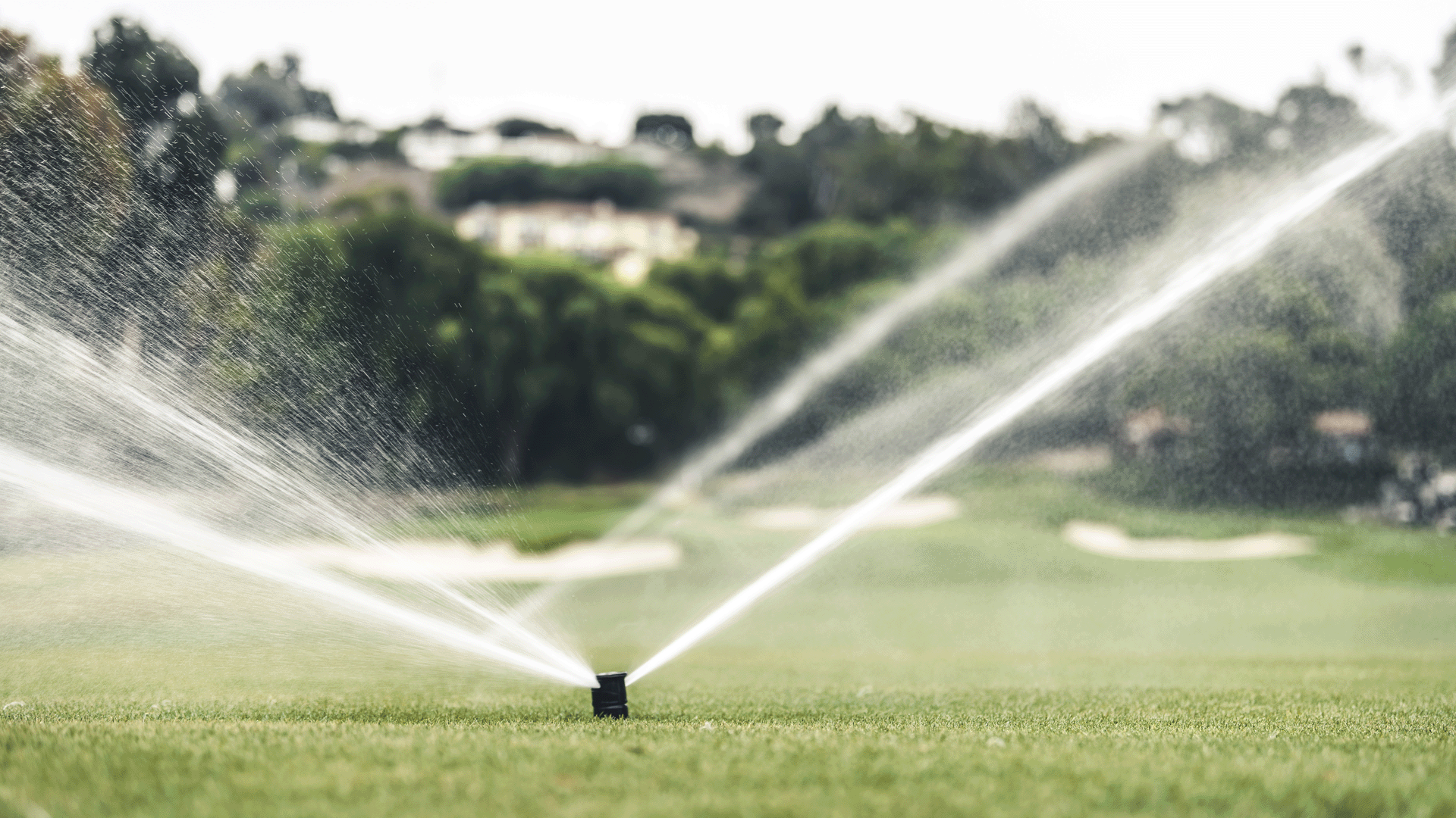 melrose home page.gif