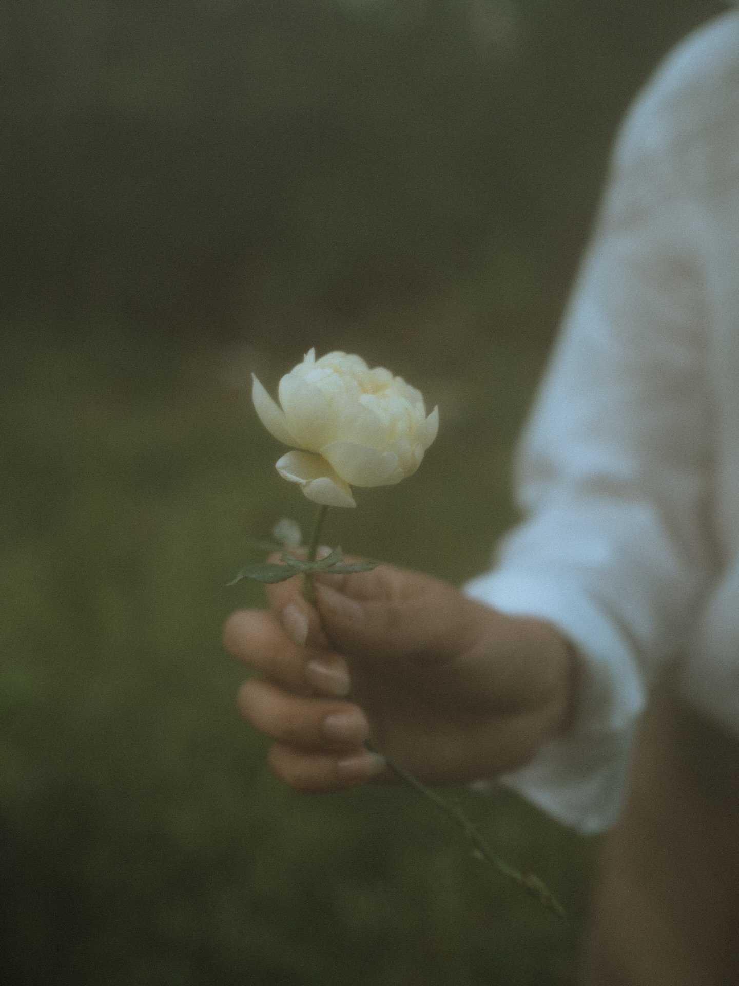 In my latin-slavic culture, I&rsquo;ve come to see this time from October 27th to November 2nd as a gradual tradition of remembrance. Today marks the day our pets cross back over to visit us.

This year, I think of my Carolina babies. I first saw Tes