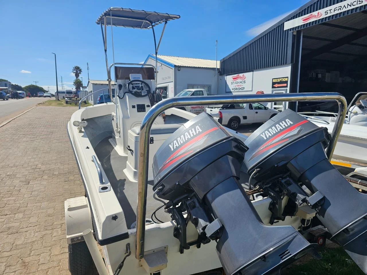 15.6ft Dolphin 3.jpg