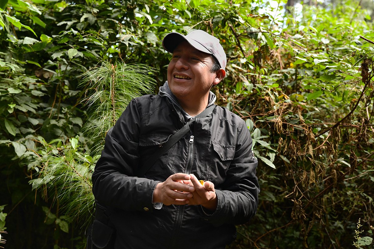  A smiling Eusebio Roldan holding the bird he rescued from thorned branches. Besides the Monarchs, the reserve hosts many other animals, including various species of hummingbirds.     