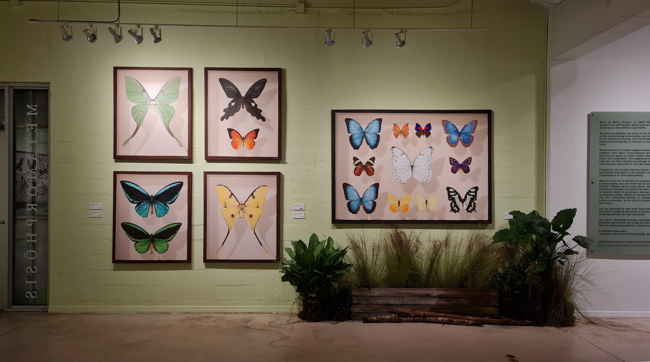 PAINTINGS_GGA_002.jpg