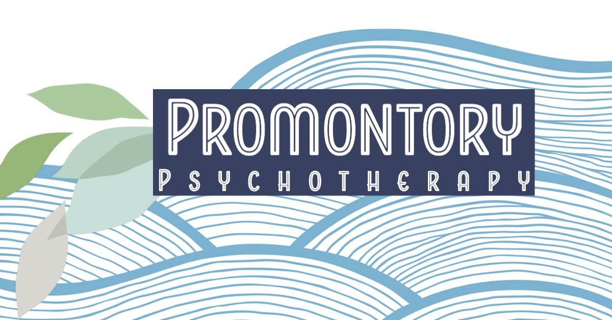 Promontory Psychotherapy of Hyde Park Chicago