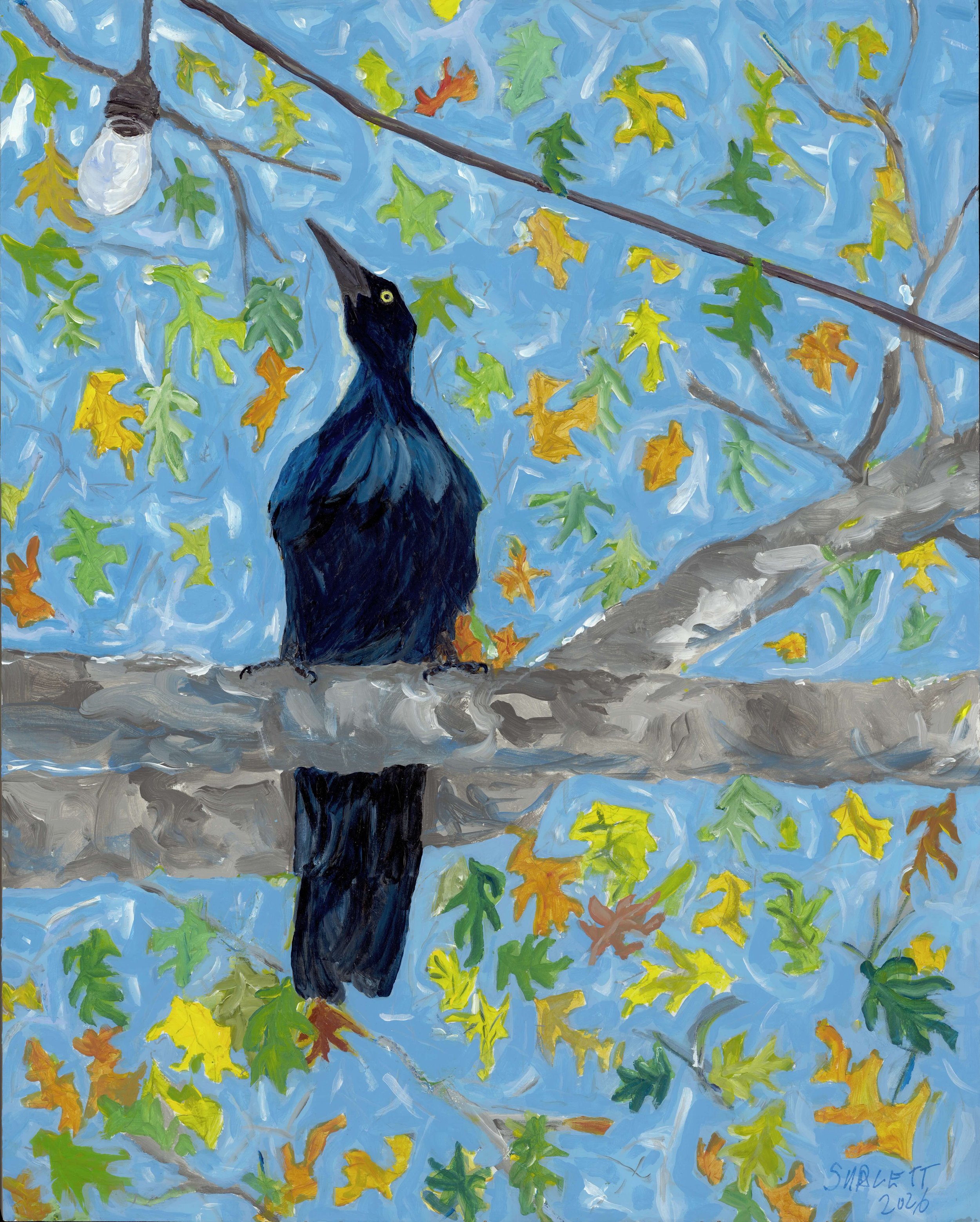 cosmic grackle adj MED - Jesse Sublett.jpg